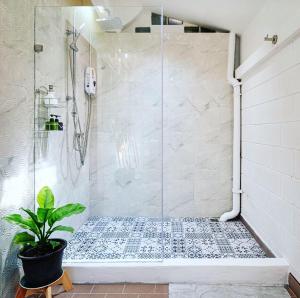 芭东海滩Solene Home Patong的一间带淋浴的浴室,配有盆栽植物
