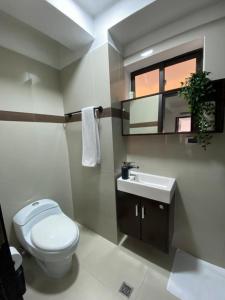 波拉马尔Elegante apartamento en Playa el Angel的一间带卫生间、水槽和窗户的浴室