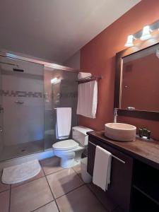 查梅Cacao Luxury Suite in Coronado的浴室配有卫生间、淋浴和盥洗盆。