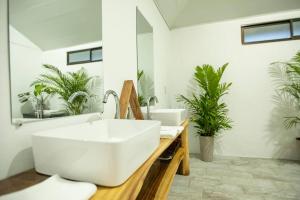 福尔图纳Anthurium house的浴室设有大型白色水槽和植物
