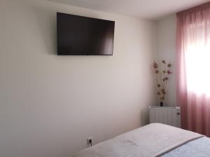 莫阿尼亚Apartamento Gran Terraza的卧室配有一张床,墙上配有电视
