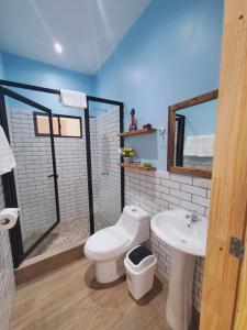 拉利伯塔德HOTEL EL VIAJERO的一间带卫生间和水槽的浴室