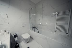 布拉迪斯拉发TIFFANY Apartment Hotel的带淋浴和卫生间的白色浴室
