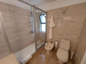 阿尔曼萨Ancão Beach Apartment的一间带卫生间和淋浴的浴室