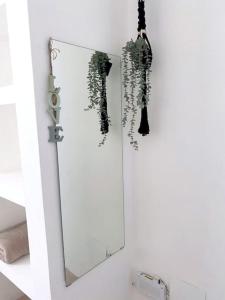 巴亚希贝Xarraca的植物浴室内的镜子
