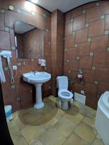 布拉索夫武士之家膳食公寓的一间带卫生间和水槽的浴室
