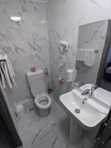 布拉索夫武士之家膳食公寓的白色的浴室设有卫生间和水槽。