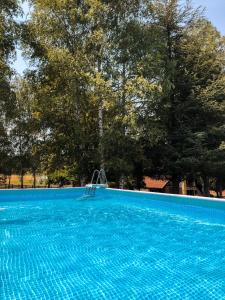 上米拉诺瓦茨Vikendice Stara Pruga的绿树成荫的蓝色游泳池,梯子