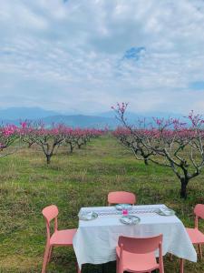 泰拉维Mestvireni的树田里的一张桌子和粉红色的椅子