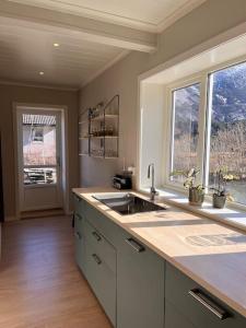 艾菲约德Cozy house in Eidfjord的带水槽的厨房和2扇窗户