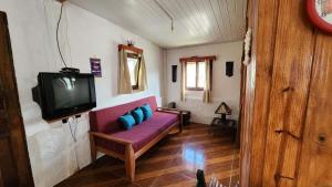 拉科罗尼亚Maridalba的客厅配有紫色沙发和电视