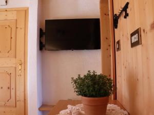 思科纳Portnerhof auf Oberkirn的一间有盆栽植物的房间和墙上的电视机