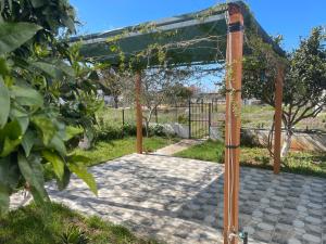 卡萨米尔Villa Denis Ksamil的花园内带绿树冠的凉棚