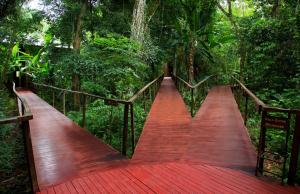 伊瓜苏港La Reserva Virgin Lodge的森林中间的木桥
