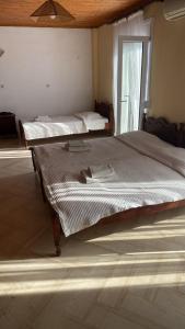 斯基亚索斯镇Angela - Zoi Rooms的一间卧室设有两张床和窗户。