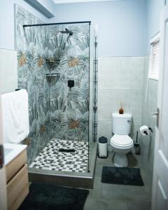 彼得马里茨堡Mdumela Stays 2 Bedroom Modern City Apartment的带淋浴和卫生间的浴室