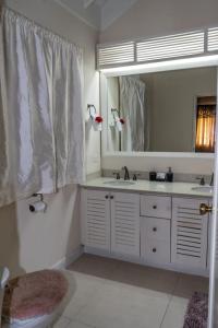 RichmondSmart villa @ Richmond的一间带水槽和大镜子的浴室