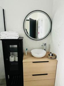 罗阿纳Appartement centre de Roanne 38m2的浴室设有水槽和墙上的镜子
