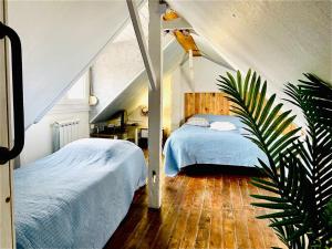勒克罗图瓦gite le petit marin的一间卧室,里面装有床和植物