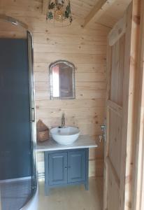 萨维尔纳Le Cottage OneHeart的小木屋内带水槽的浴室