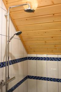 罗加斯卡斯拉提纳Ranč Stojnšek的带淋浴的浴室(带木制天花板)