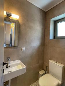 雅莎尼奥Selene houses的一间带水槽、卫生间和镜子的浴室