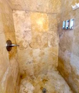 哈兰代尔海滩Hallandale Beach Motel的带淋浴的浴室(带石墙)