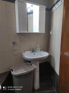 科孚镇Aglaia House的浴室设有水槽、镜子和垃圾桶