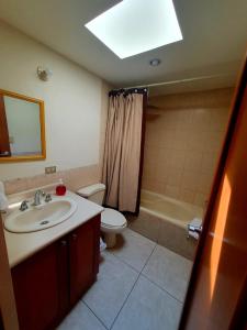 危地马拉Executive Airport Apartment Guatemala的一间带水槽、卫生间和淋浴的浴室