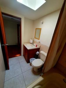 危地马拉Executive Airport Apartment Guatemala的一间带卫生间、水槽和镜子的浴室