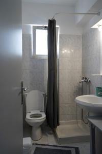 马斯蒂查里Amvrosia Apartments的一间带卫生间和水槽的浴室