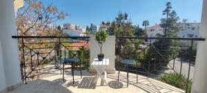 StrovolosZinas modern flat Nicosia的阳台配有两把椅子和盆栽植物