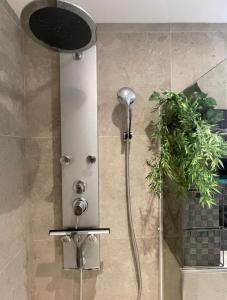 不莱梅Mediterrane Wohnung nahe HBF mit Domblick的带淋浴头和植物的淋浴