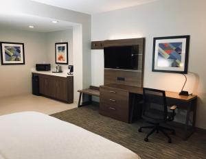 弗里蒙特弗里蒙特米尔皮塔斯中心快捷假日酒店的酒店客房配有一张床、一张书桌和一台电视。
