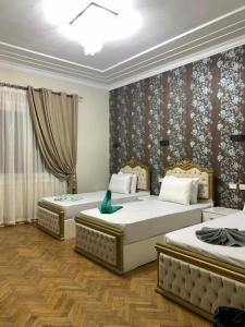 开罗Lucky Hostel的两间位于酒店客房的床铺,里面坐着绿鸟