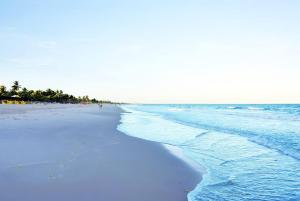 盖比姆Praia de Guaibim - Casa de praia 2Q - 2 suítes com ar - em condomínio a 300m da praia的海滩上种着蓝色的海水和棕榈树