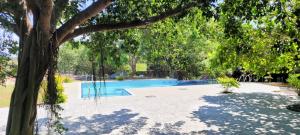 汉班托塔Vintara Eco Resort的前方有树的游泳池