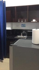 伊洛伊洛Donadel Hometel的厨房配有水槽和1卷纸质毛巾