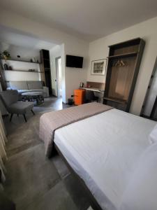 佩斯基耶拉德加达Via Goito 25 Rooms & Apartment的一间带大床的卧室和一间客厅