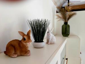 HutiskoLOFT WAPITI的两只兔子坐在植物旁边的柜台上