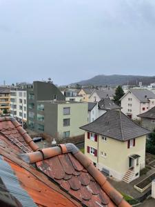 苏黎世Gemütliche & zentrale Wohnung in der Stadt Zürich的享有带建筑和屋顶的城市美景
