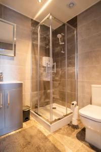 都柏林Central Dublin Apartment的带淋浴和卫生间的浴室