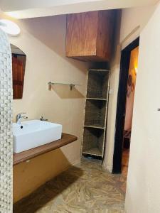 科洛里Bamboo Village Resort的一间带白色水槽和架子的浴室