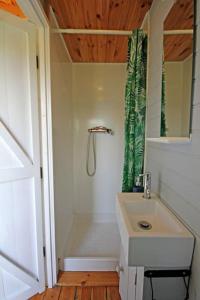布德Tiny House on isolated farm by the Cornish Coast的带淋浴和盥洗盆的白色浴室