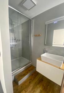 Penzion Puk的一间带水槽和淋浴的浴室