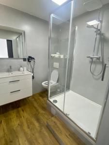 Penzion Puk的一间带玻璃淋浴和卫生间的浴室
