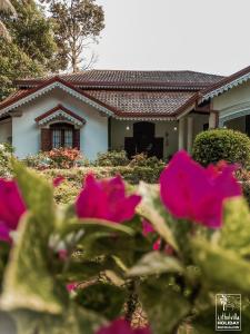 基图尔格勒基图维拉假日住宿加早餐旅馆的前面有粉红色花的房子