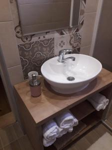 尼什Konak -Guest house -Ramonda Serbika的浴室设有白色水槽和架子上的毛巾
