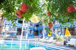 奥林波斯Olympos Çınar Hotel的一个带椅子的游泳池,一棵树上种有石榴
