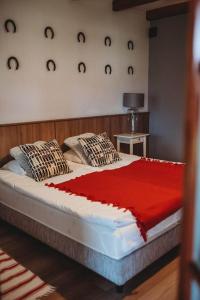 耶莱尼亚古拉Pokoje do wynajęcia的一间卧室配有一张带红色毯子的床